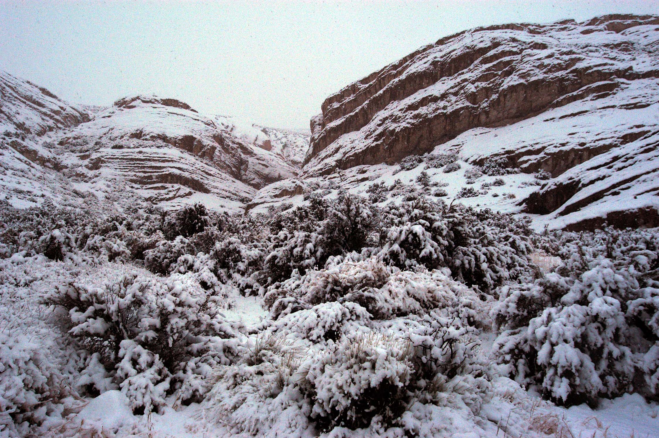 Cool season view across the desert toward the mountains near Beatty